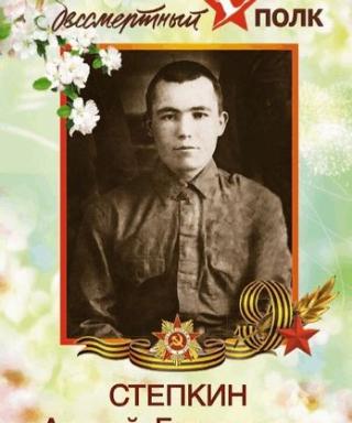 Стёпкин Андрей Гаврилович