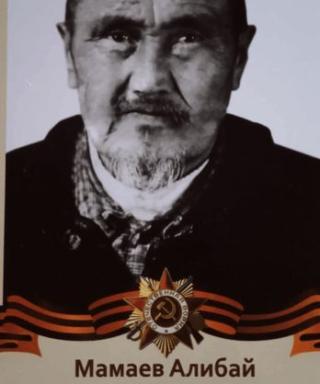 Мамаев Алибай