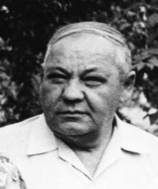Стадник Николай Васильевич