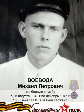 Воевода Михаил Петрович