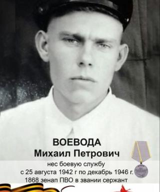 Воевода Михаил Петрович