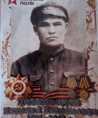 Пчеловодов Николай Николаевич