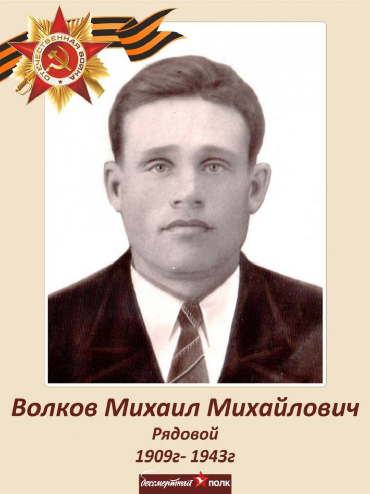 Волков Михаил Михайлович