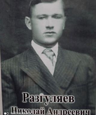 Разгуляев Николай Андреевич