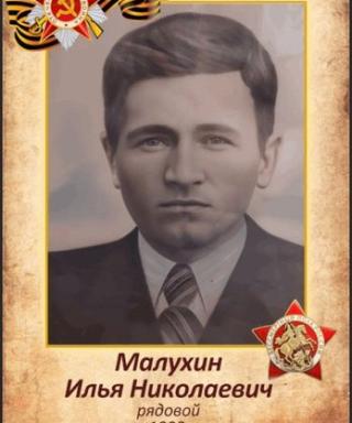 Малухин Илья Николаевич