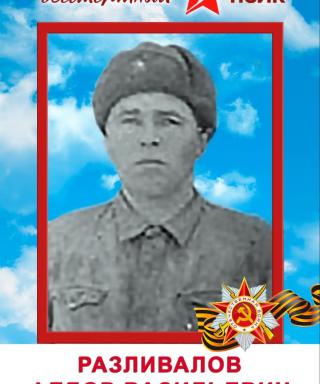 Разливалов Фёдор Васильевич