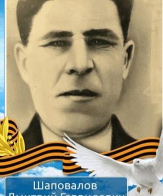 Шаповалов Дмитрий Гаврилович