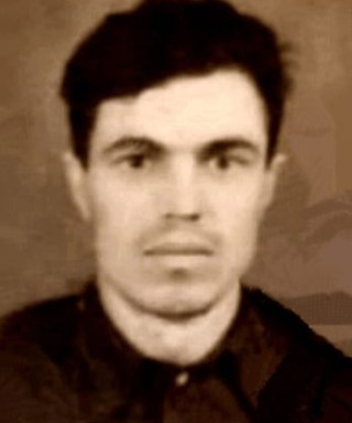 Митронин Михаил Иванович