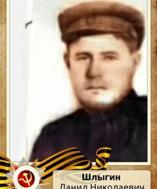 Шлыгин Данил Николаевич