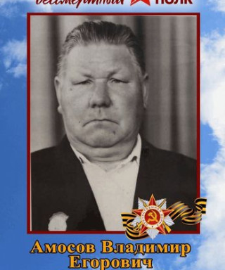 Амосов Владимир Егорович
