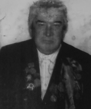 Меркулов Николай Ильич