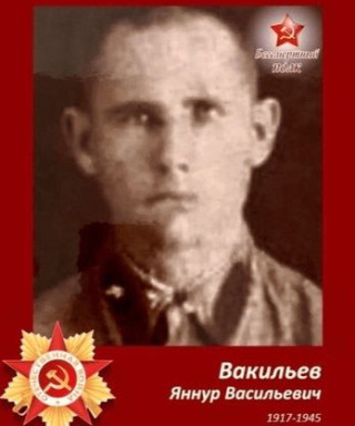 Вакильев Яннур Васильевич