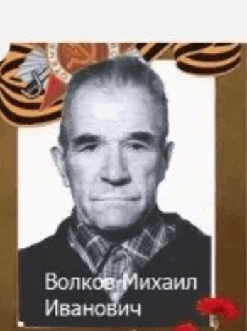 Волков Михаил Иванович