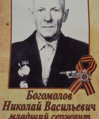 Богомолов Николай Васильевич