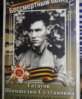 Гатауов Шамшедин Султанович