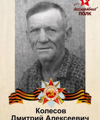Колесов Дмитрий Алексеевич