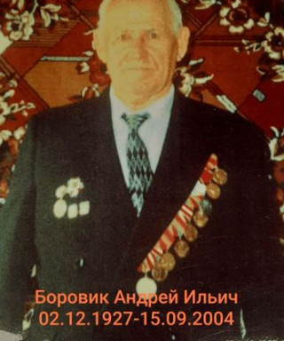 Боровик Андрей Ильич