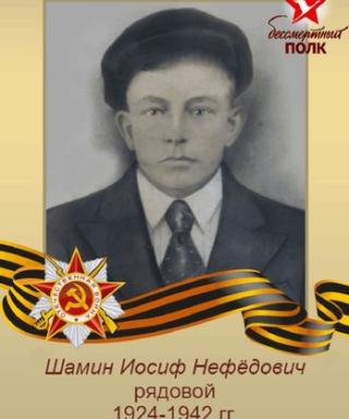 Шамин Иосиф Нефёдович