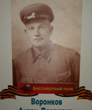 Воронков Антон Павлович