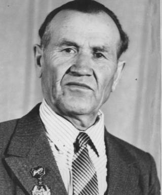Шубин Георгий Васильевич