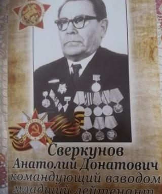 Сверкунов Анатолий Донатович