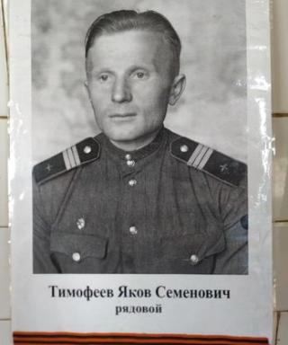 Тимофеев Яков Семёнович