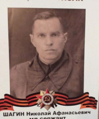 Шагин Николай Афанасьевич