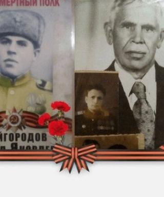 Кайгородов Михаил Яковлевич