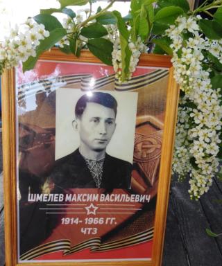 Шмелев Максим Васильевич