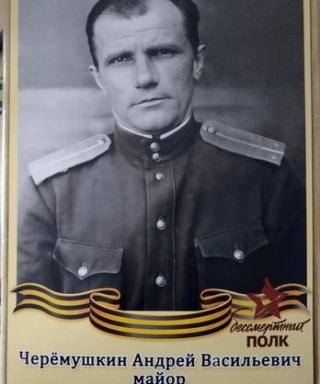 Черемушкин Андрей Васильевич