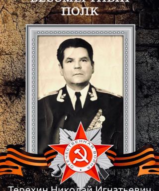 Терехин Николай Игнатьевич
