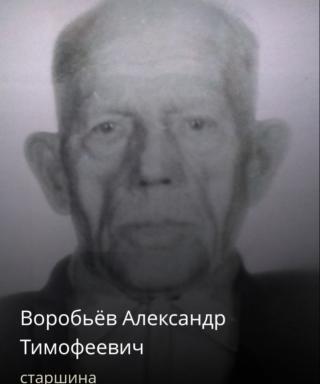 Воробьёв Александр Тимофеевич