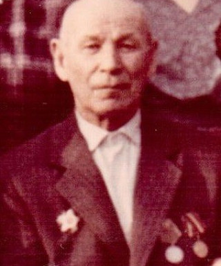 Мельников Игнат Самуилович