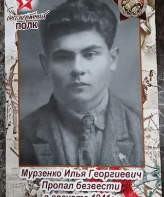 Мурзенко Илья Георгиевич