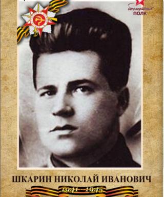Шкарин Николай Иванович