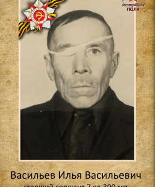 Васильев Илья Васильевич