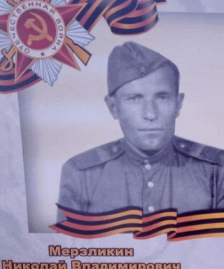 Мерзликин Николай Владимирович