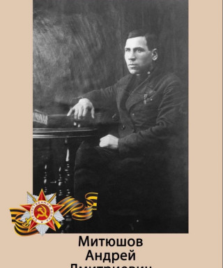 Митюшов Андрей Дмитриевич