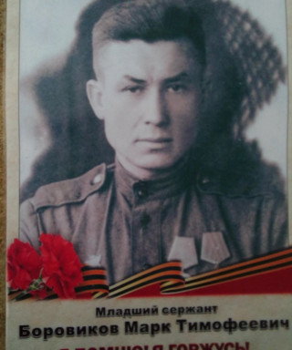 Боровиков Марк Тимофеевич