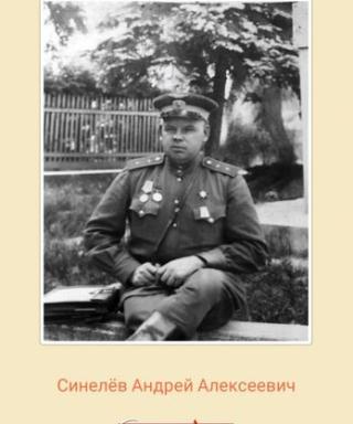 Синелёв Андрей Алексеевич