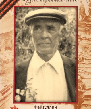 Файзуллин Гильман Гиниятович