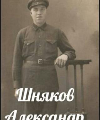 Шняков Александр Александрович