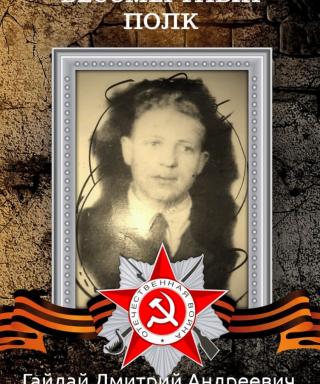 Гайдай Дмитрий Андреевич