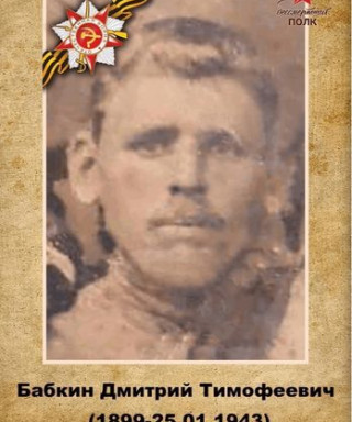 Бабкин Дмитрий Тимофеевич