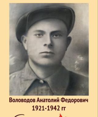 Воловодов Анатолий Федорович