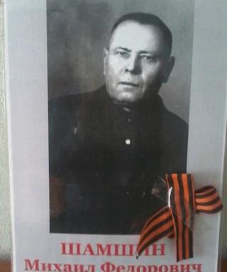Шамшин Михаил Федорович