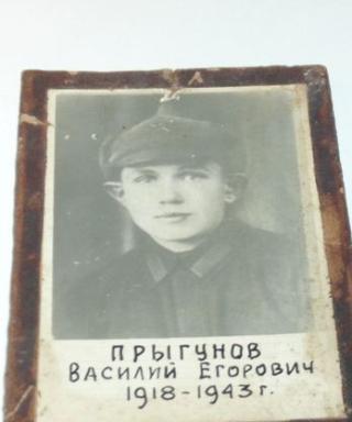 Прыгунов Василий Егорович