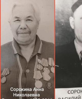 Сорокина Анна Николаевна