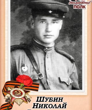 Шубин Николай Васильевич