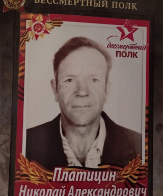 Платицин Николай Александрович